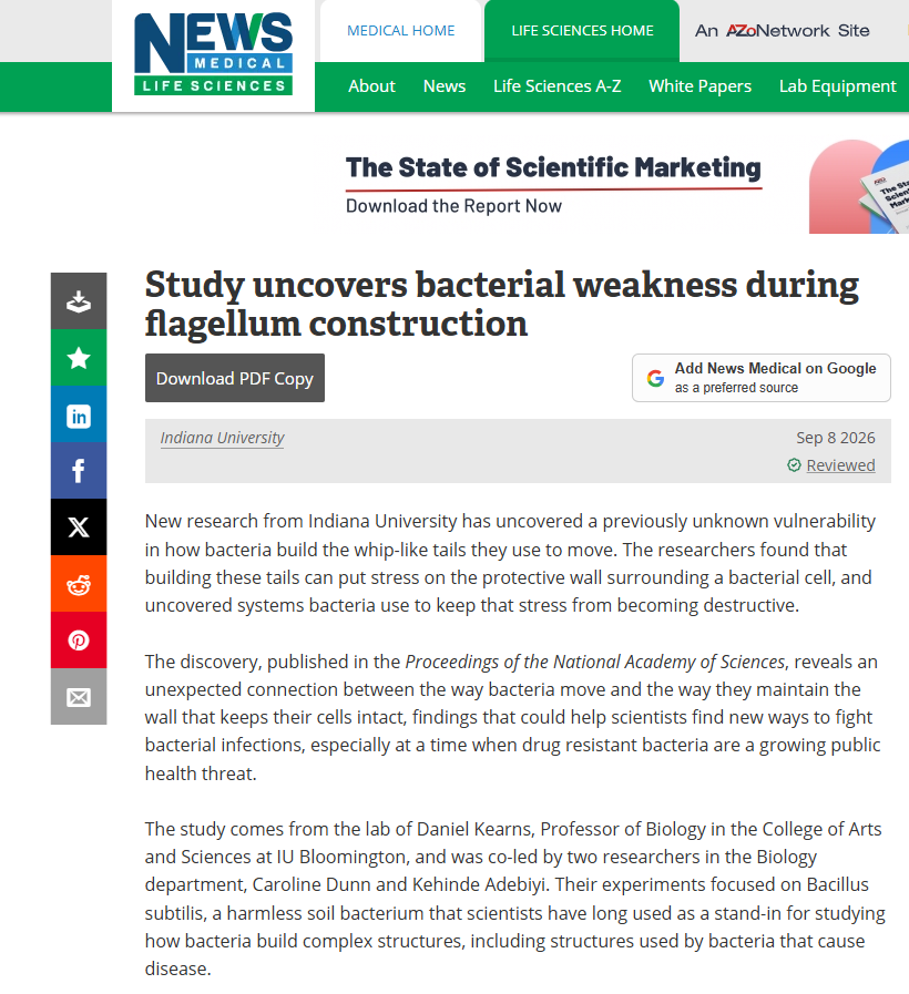 News-Medical article about bacterial flagellum research